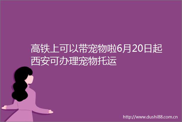 高铁上可以带宠物啦6月20日起西安可办理宠物托运