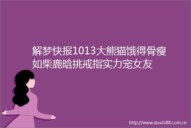 解梦快报1013大熊猫饿得骨瘦如柴鹿晗挑戒指实力宠女友