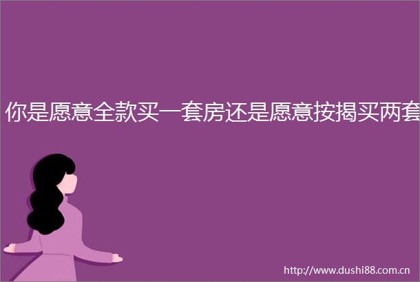 你是愿意全款买一套房还是愿意按揭买两套