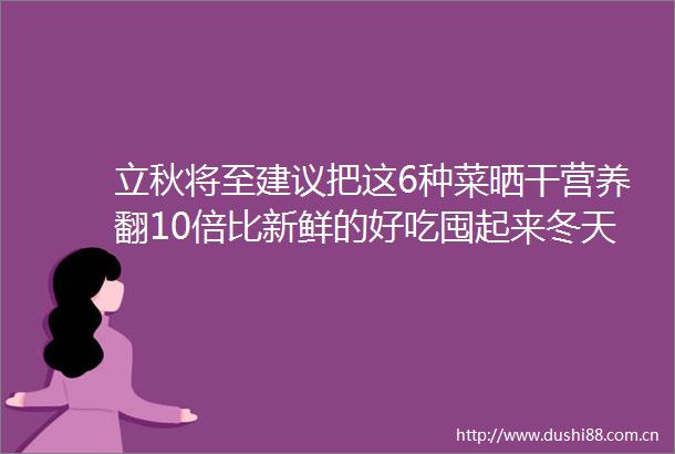 立秋将至建议把这6种菜晒干营养翻10倍比新鲜的好吃囤起来冬天炖肉賊香放一年不坏