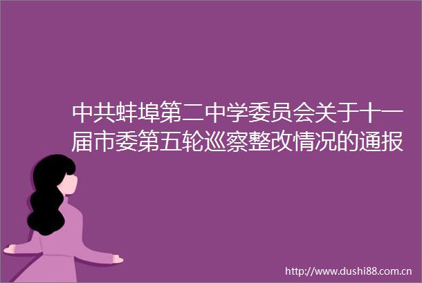蚌埠第二中学委员会关于十一届市委第五轮巡察整改情况的通报