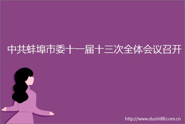 蚌埠市委十一届十三次全体会议召开