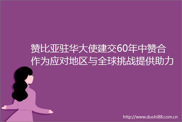 赞比亚驻华大使建交60年中赞合作为应对地区与全球挑战提供助力