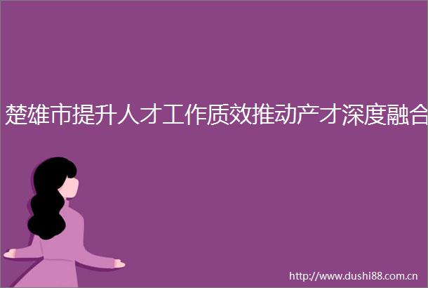 楚雄市提升人才工作质效推动产才深度融合