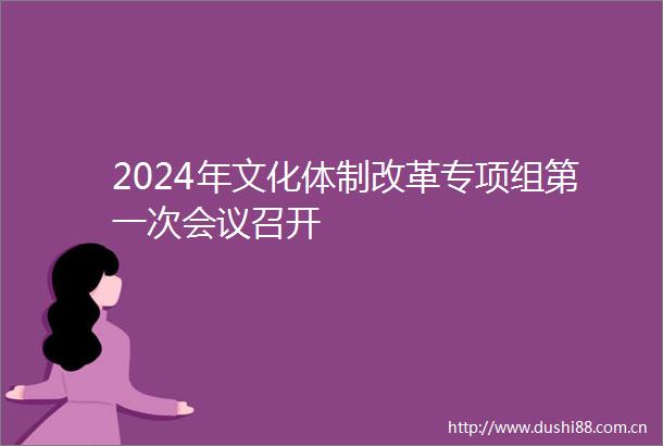 2024年文化体制改革专项组第一次会议召开