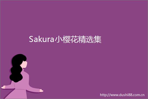 Sakura小樱花精选集