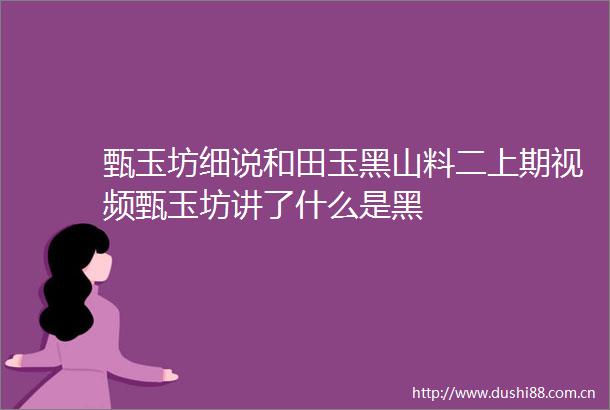 甄玉坊细说和田玉黑山料二上期视频甄玉坊讲了什么是黑