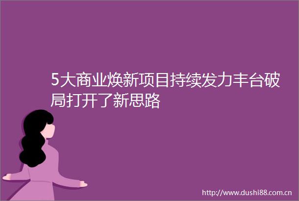 5大商业焕新项目持续发力丰台破局打开了新思路