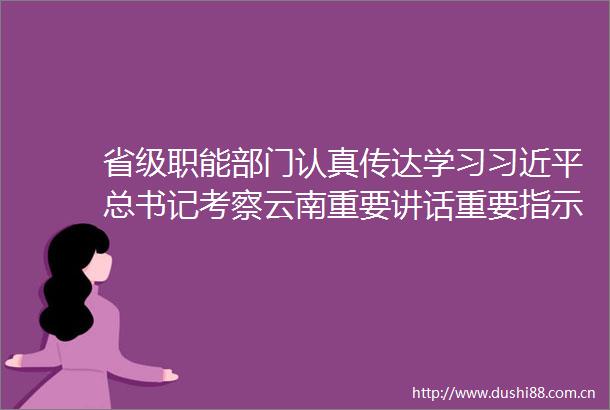 省级职能部门认真传达学习总书记考察云南重要讲话重要指示精神以实际行动推动全省发展迈上新台阶