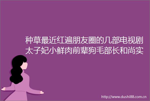 种草最近红遍朋友圈的几部电视剧太子妃小鲜肉前辈狗毛部长和尚实力圈粉