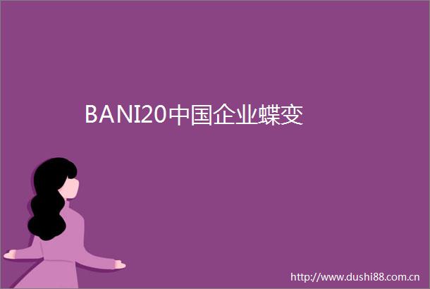 BANI20企业蝶变