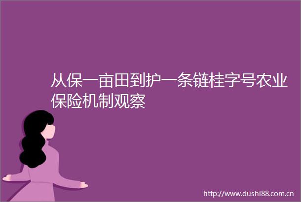 从保一亩田到护一条链桂字号农业保险机制观察