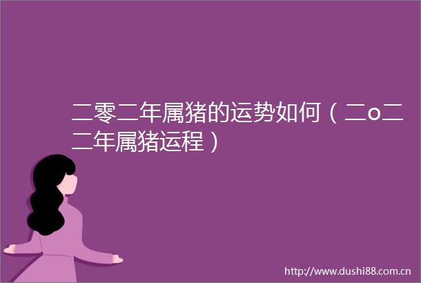 二零二年属猪的运势如何（二o二二年属猪运程）
