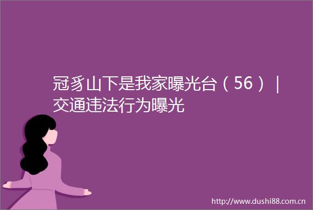 冠豸山下是我家台（56）｜交通行为