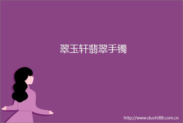 翠玉轩翡翠手镯