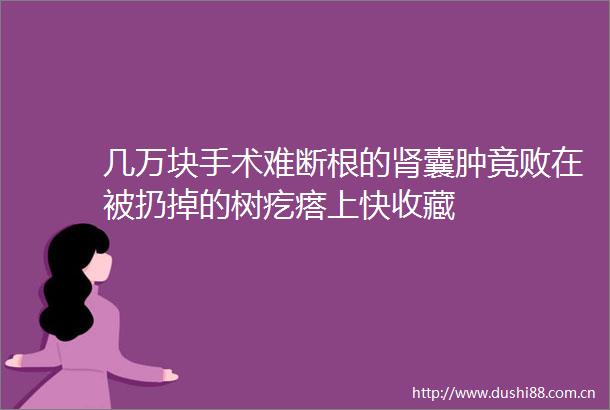 几万块手术难断根的肾囊肿竟败在被扔掉的树疙瘩上快收藏