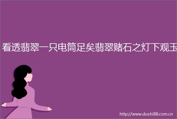 看透翡翠一只电筒足矣翡翠赌石之灯下观玉