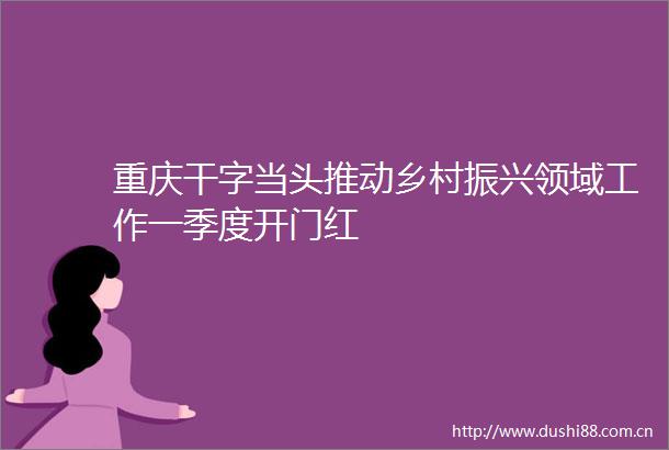 重庆干字当头推动乡村振兴领域工作一季度开门红
