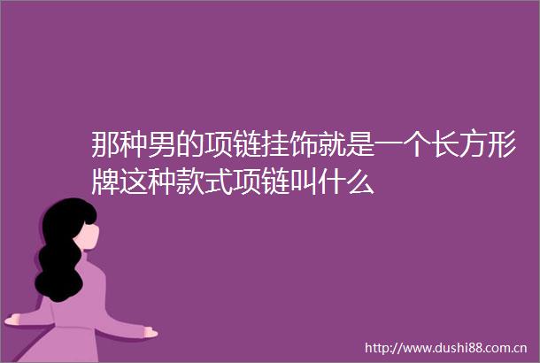 那种男的项链挂饰就是一个长方形牌这种款式项链叫什么