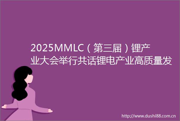 2025MMLC（第三届）锂产业大会举行共话锂电产业高质量发展新路径