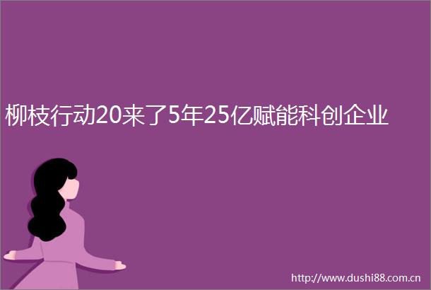 柳枝行动20来了5年25亿赋能科创企业