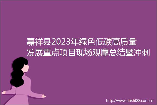 嘉祥县2023年绿色低碳高质量发展重点项目现场观摩总结暨冲刺四季度动员大会召开