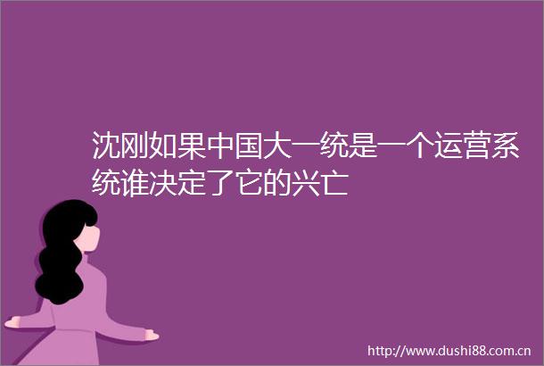 沈刚如果大一统是一个运营系统谁决定了它的兴亡