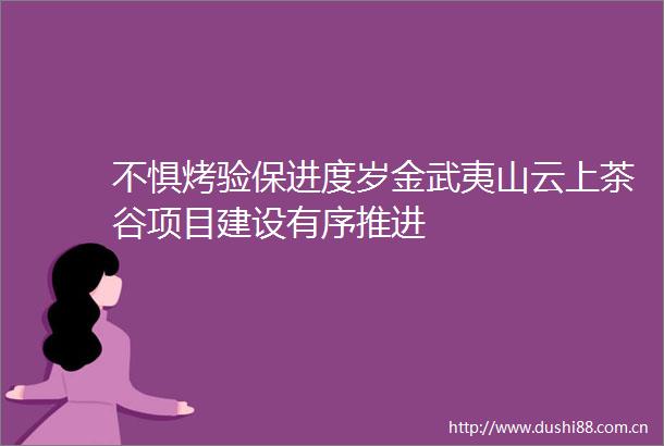 不惧烤验保进度岁金武夷山云上茶谷项目建设有序推进