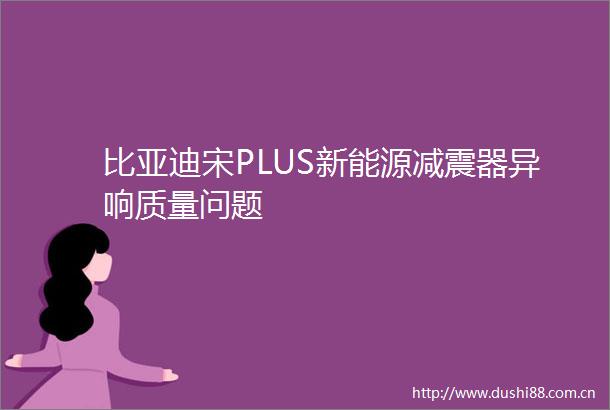比亚迪宋PLUS新能源减震器异响质量问题