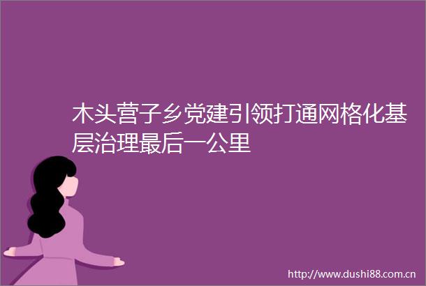 木头营子乡党建引领打通网格化基层治理最后一公里