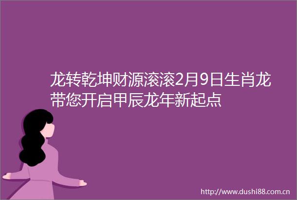 龙转乾坤财源滚滚2月9日生肖龙带您开启甲辰龙年新起点