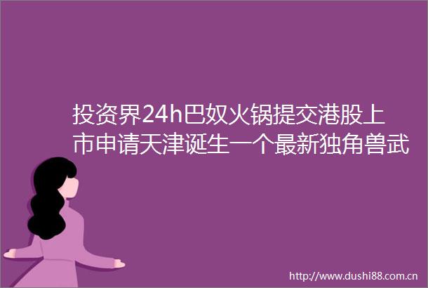 投资界24h巴奴火锅提交港股上市申请天津诞生一个最新独角兽武汉国资100容亏来了
