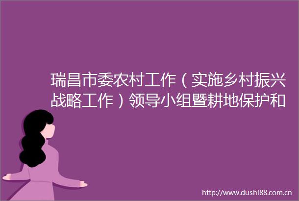 瑞昌市委农村工作（实施乡村振兴战略工作）小组暨耕地保护和粮食安全工作小组会议召开