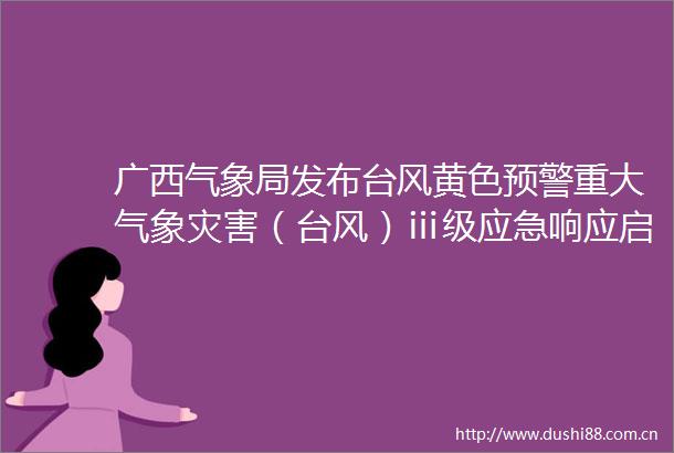 广西气象局发布台风黄色预警重大气象灾害（台风）ⅲ级应急响应启动