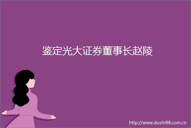鉴定光大证券董事长赵陵