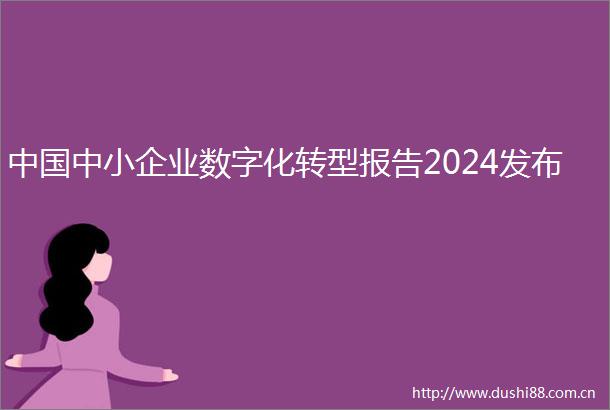 中小企业数字化转型报告2024发布