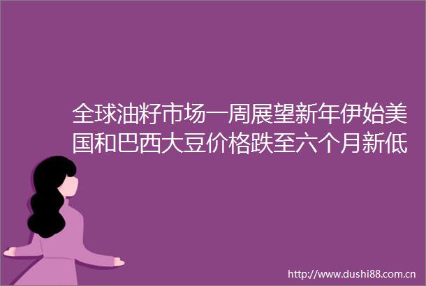全球油籽市场一周展望新年伊始美国和巴西大豆价格跌至六个月新低