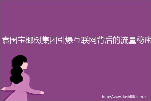 袁国宝椰树集团引爆互联网背后的流量秘密