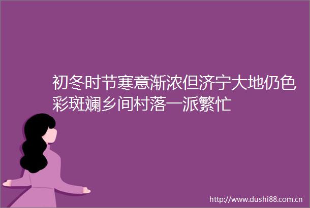 初冬时节寒意渐浓但济宁大地仍色彩斑斓乡间村落一派繁忙