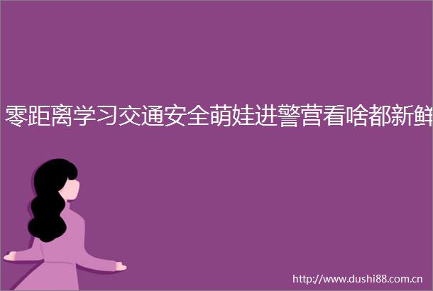 零距离学习交通安全萌娃进警营看啥都新鲜