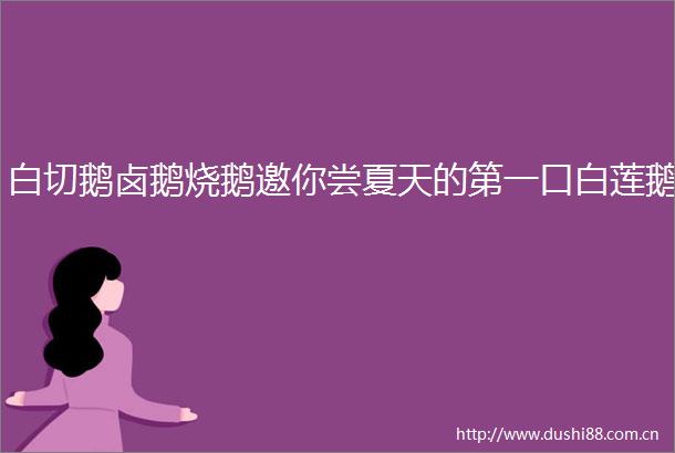白切鹅卤鹅烧鹅邀你尝夏天的第一口白莲鹅
