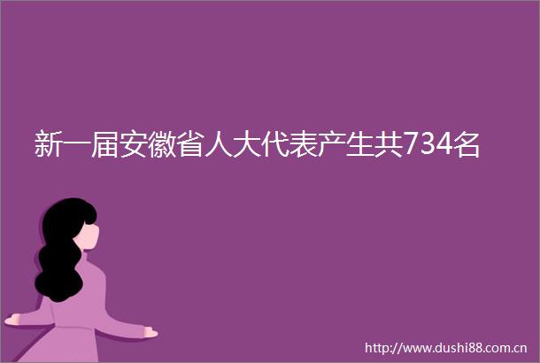 新一届安徽省人大代表产生共734名