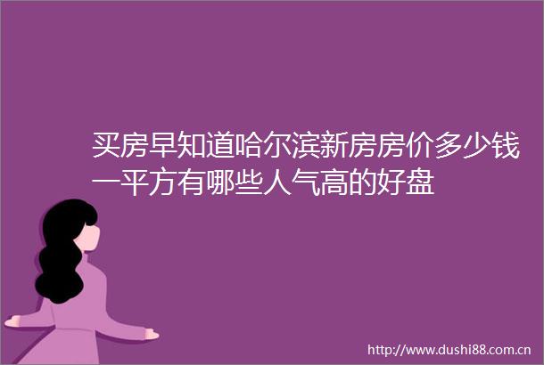 买房早知道哈尔滨新房房价多少钱一平方有哪些人气高的好盘
