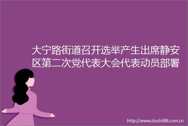 大宁路街道召开选举产生出席静安区第二次党代表大会代表动员部署会