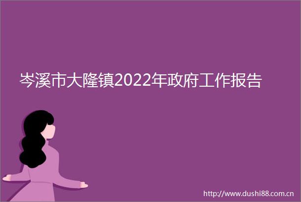 岑溪市大隆镇2022年工作报告