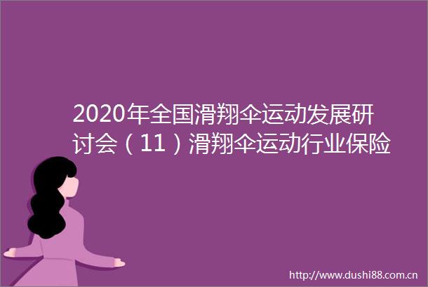2020年全国滑翔伞运动发展研讨会（11）滑翔伞运动行业保险
