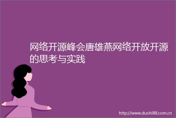 网络开源峰会唐雄燕网络开放开源的思考与实践