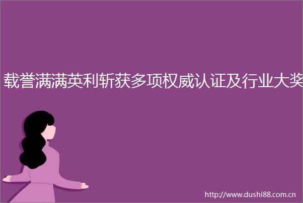 载誉满满英利斩获多项权威认证及行业大奖