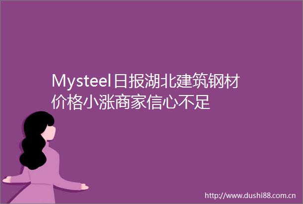 Mysteel日报湖北建筑钢材价格小涨商家信心不足