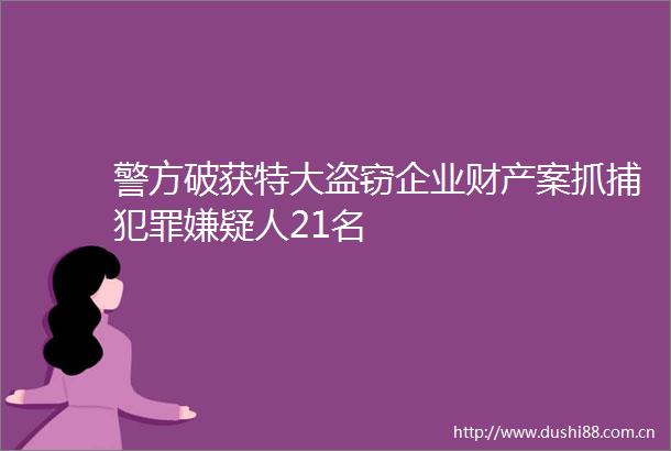 警方破获特大盗窃企业财产案抓捕嫌疑人21名